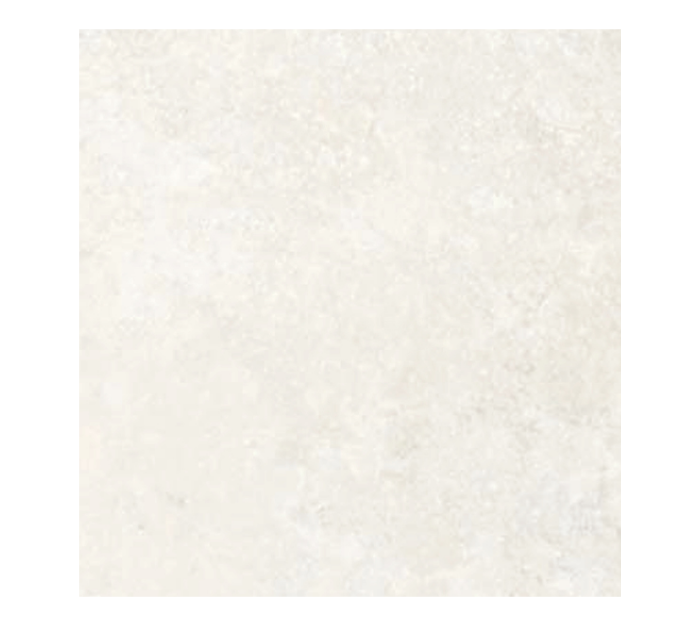 COREL REEF | FAZ-CLR---U0949A56